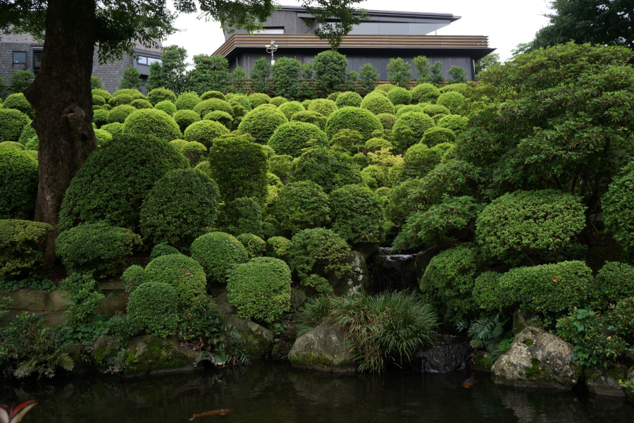 根津神社