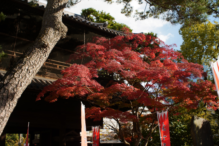 泉岳寺